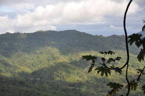 Paisagem ao redor do El Tucuche, a segunda mais alta montanha da ilha de Trinidad